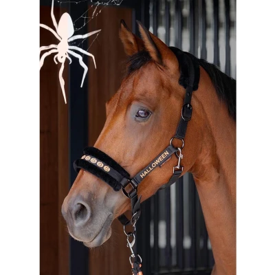 Afbeelding van Harry&#039;s Horse Halsterset Halloween