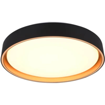 Afbeelding van REALITY FELIS Plafondlamp Zwart goud incl. 1x SMD 24W Dimbaar Memory functie Aanpasbaare lichtkleur