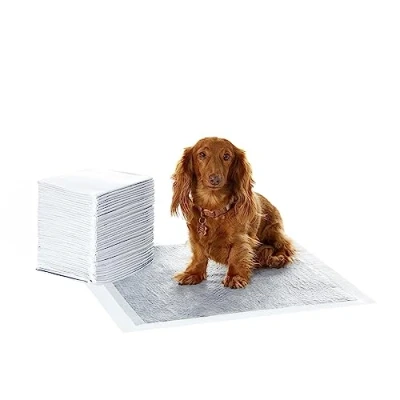Afbeelding van Amazon Basics Trainingspads voor honden, koolstofvezel, neutraliseert geur, honden en puppy&#039;s, lekvrij met sneldrogend oppervlak, regulier, set van 40, grijs