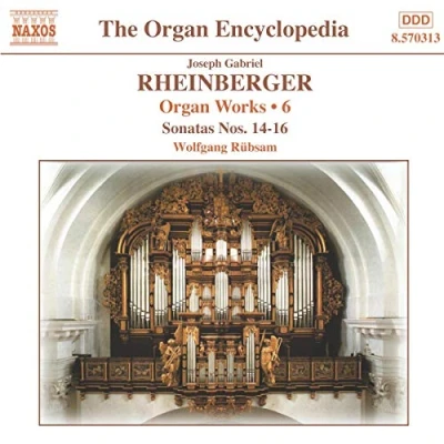 Afbeelding van Rübsam Organ Works Volume 6 (CD)