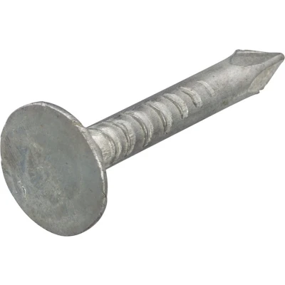 Afbeelding van Homefix asfaltnagels 3.0x20mm verzinkt staal platkop DIN 1160 (per 1 kg)