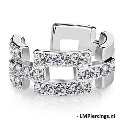 Afbeelding van Fake piercing square links