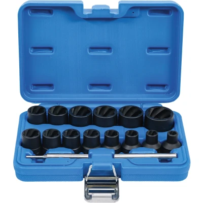 Afbeelding van BGS Spiraalprofiel doppenset / schroefuitdraaier 1/2&quot; 8 27 mm, 16 delig