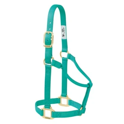 Afbeelding van Weaver Leather Originele niet verstelbare nylon paardenhalter, gemiddeld, smaragdgroen