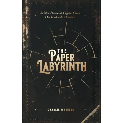 Afbeelding van The Paper Labyrinth: A Book wide Puzzle Solving Adventure