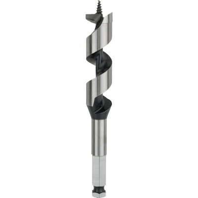 Afbeelding van Bosch Accessoires Houtslangenboor, zeskant 22 x 100 160 mm, d 11,1 mm 1st 2608585706