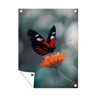 Afbeelding van Tuinposter vlinder Bloem Natuur Tuindoek 30x40 cm