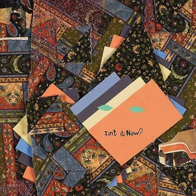 Afbeelding van Animal Collective Isn&#039;t It Now? (2 LPs)