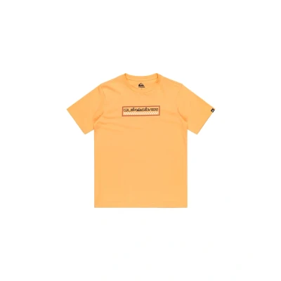 Afbeelding van Quiksilver SUN Dagger Tshirt print voor kinderen, Maat: 128, Orange