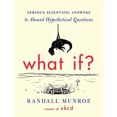 Afbeelding van What If?