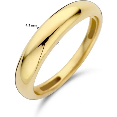 Afbeelding van 14K geelgoud ring 4027709 16.50