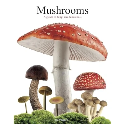 Afbeelding van Mushrooms: A guide to fungi and toadstools