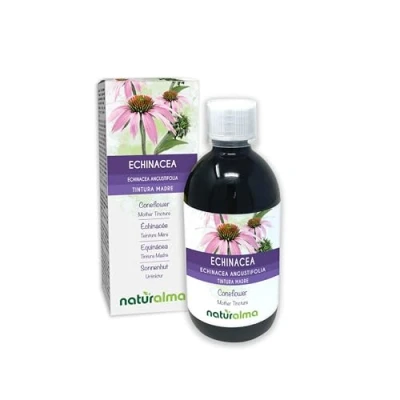 Afbeelding van Echinacea of Zonnehoed (Echinacea angustifolia) wortels Alcoholvrije moedertinctuur Naturalma Vloeibaar extract druppels 500 ml Voedingssupplement Veganistisch