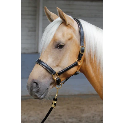 Afbeelding van Harry&#039;s Horse Halster leder, zwart met bies Cob Goud