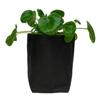 Afbeelding van QUVIO Plantenzak uitwasbaar 10x10x20cm Zwart
