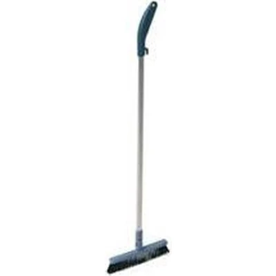 Afbeelding van Vileda Dustpan Borstel Met Steel