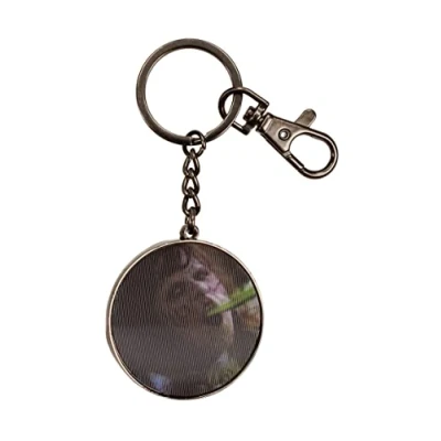 Afbeelding van The Exorcist: Regan lenticular keychain