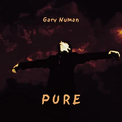 Afbeelding van Gary Numan Pure (2 LPs)