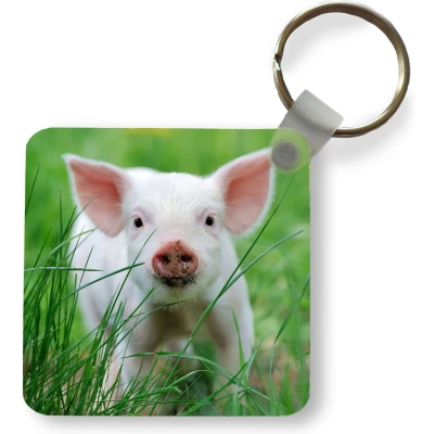 Afbeelding van Sleutelhanger Uitdeelcadeautjes Varken Dieren Big Plastic