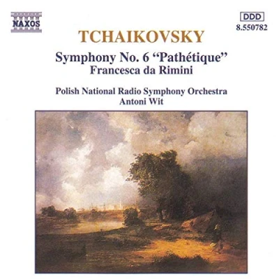 Afbeelding van Polish Nrso Symphony 6 (CD)