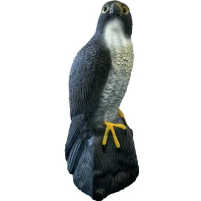 Afbeelding van SuperFish Deco Vogel Valk