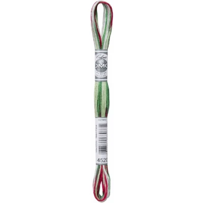 Afbeelding van DMC Mouline Coloris