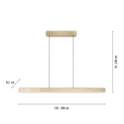 Afbeelding van Paul Neuhaus Hanglamp e Lift + Slide L 120 200 cm mat goud