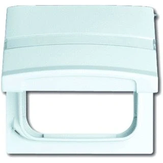 Afbeelding van Abb busch jaeger 2118 gkn 32 verloop centr pl met klapd en tekstvld 66 7x10mm voor bosch duro 2000 si reflex spatwaterdicht ip44 wt 2cka001710a2280