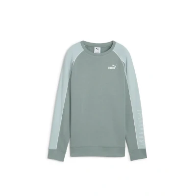 Afbeelding van Puma Crewneck Sweater, Dames, Maat: Small, Green moon