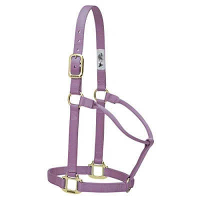 Afbeelding van Weaver Leather Originele niet verstelbare nylon paardenhalster, jaarling, lavendel