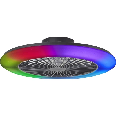 Afbeelding van Brilliant Salerno Plafondventilator Met verlichting LED 48W 3000K 6500K 58cm Dimbaar Zwart Zeer stil