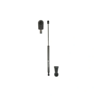 Afbeelding van Magneti Marelli Gasveer 430719089600