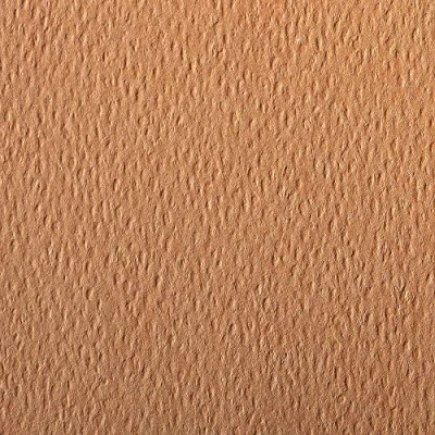 Afbeelding van Clairefontaine 93787C Verpakking (met 24 vellen tekenpapier, etivalkleur, 50 x 65 cm, 160 g, korrels, ideaal voor droogtechniek en inlijsten) zalm