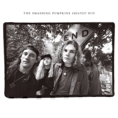 Afbeelding van Smashing Pumpkins Rotten Apples: the Greatest Hits (2 LPs)