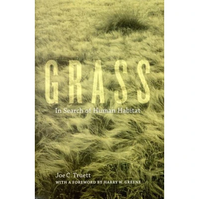 Afbeelding van Grass