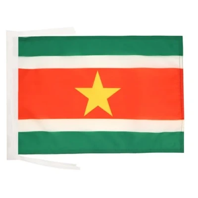 Afbeelding van Surinaamse Vlag 45x30 cm koorden SMALL vlaggen 30 x 45 Banier 18x12 in Hoge kwaliteit AZ FLAG