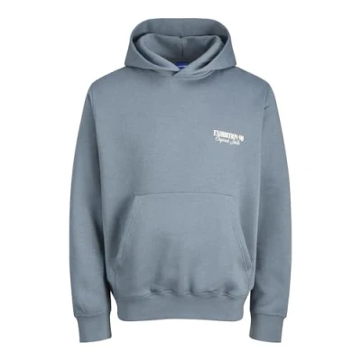 Afbeelding van Jack &amp; Jones Jorroxbury BACK Hoodie, Heren, Maat: Large, Stormy weather