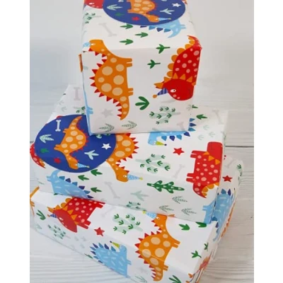 Afbeelding van Abacus Kaarten 08816A &quot;Dinosaur Roar&quot; Gift Wrap Pack met 2 vellen &amp; labels Plastic vrij volledig recyclebaar