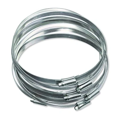 Afbeelding van Eclipse Professional Tools ECW1 8 W1 zacht stalen wormdrive slangklemmen 150 180 mm 10 stuks