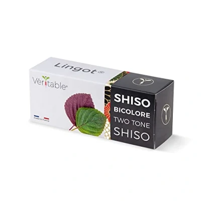 Afbeelding van Véritable Lingot® Shiso tweekleurig compatibel met moestuin voor binnen en Exky® kant klare navulverpakking substraat geïntegreerde zaden