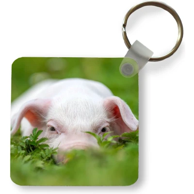 Afbeelding van Sleutelhanger Uitdeelcadeautjes Varken Dieren Big Plastic