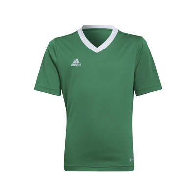 Afbeelding van ADIDAS PERFORMANCE Functioneel shirt &#039;Entrada 22&#039; grasgroen / wit