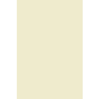 Afbeelding van Netuno 100 vellen ivoorkleurig papier 170g A4 210x297mm Lessebo Smooth Ivory voor visitekaartjes brochures reclama wenskaarten diploma certificaten inkjet laserprinters