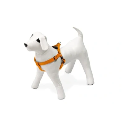 Afbeelding van Karlie Art Sportiv Plus servies, 15 mm 25 45 cm, oranje, 1 2 3 Step en Go