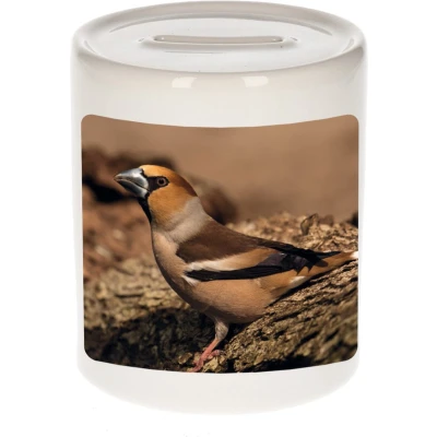 Afbeelding van Foto appelvink vogel spaarpot 9 cm Cadeau vogels liefhebber Spaarpotten