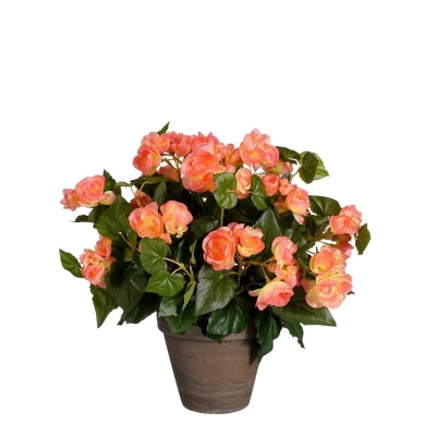 Afbeelding van Begonia Kunstplant in Bloempot Stan H37 x Ø36 cm Zalmroze