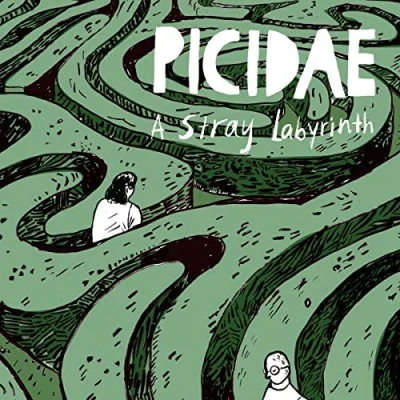 Afbeelding van Picidae A Stray Labyrinth (CD)