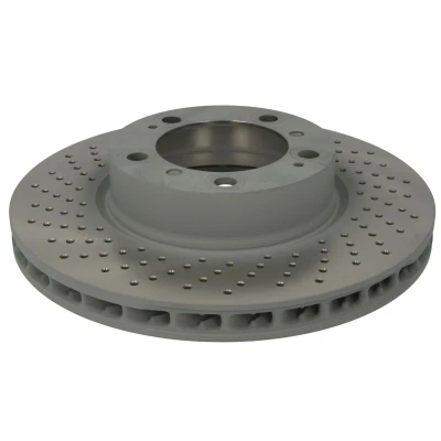 Afbeelding van SHW Performance Remschijven PFL39965