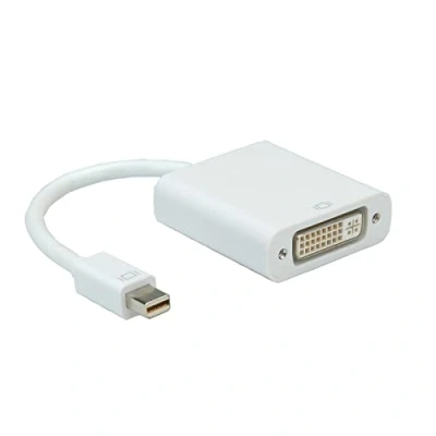 Afbeelding van ROLINE Mini DisplayPort DVI Adapter, DP M F