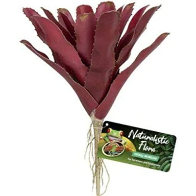 Afbeelding van Zoo Med Fireball Bromeliad